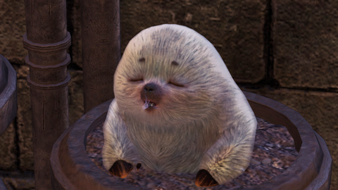 no title