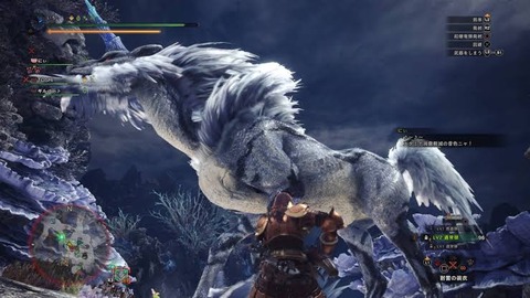 images (14)