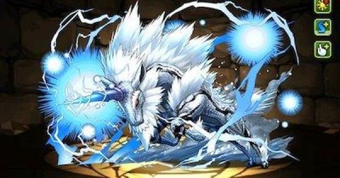 55362