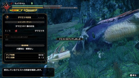 【MHRise】泡やられ無効のスキル無いとタマちゃんヤル気せんわ【モンハンライズ】