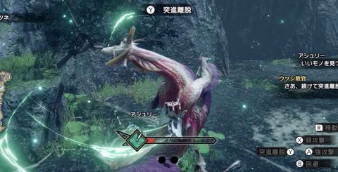【MHRise】上位タマちゃんから急に火力跳ね上がるよな【モンハンライズ】