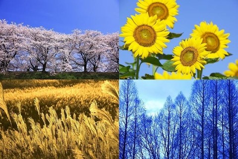 4054-l-image