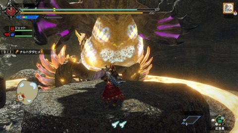 【MHRise】ナルハタって良モンスター？【モンハンライズ】