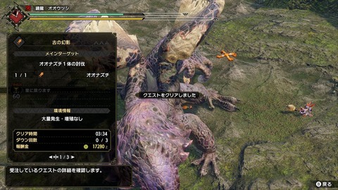 【MHRise】オオナズチ貫通火でよく行ってるけど貫通ってどうなの？【モンハンライズ】